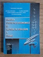 Gheorghe Vasilescu - Analiza statistico-economica si metode de evaluare a firmei