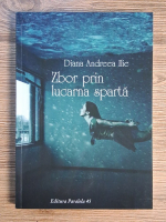 Diana Andreea Ilie - Zbor prin lucarna sparta