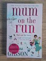 Fiona Gibson - Mum on the run