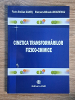 Florin Emilian Danes - Cinetica transformarilor fizico-chimice