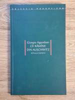 Giorgio Agamben - Ce ramane din Auschwitz. Arhiva si martorul