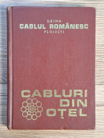 Marinescu Dionisie - Cabluri din otel