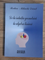 Anticariat: Rodica Mihaela Danet - De la intuitia geometrica la algebra liniara