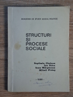 Anticariat: Septimiu Chelcea, Ion Velea - Structuri si procese sociale