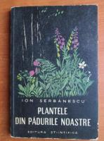 Anticariat: Ion Serbanescu - Plantele din padurile noastre