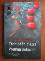 Ismail Kadare - Cronica in piatra. Vremea nebuniei