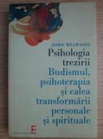 Anticariat: John Welwood - Psihologia trezirii. Budismul, psihoterapia si calea transformarii personale si spirituale