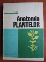Anticariat: M. Andrei - Anatomia plantelor