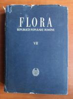 Traian Savulescu - Flora Romaniei (volumul 7)