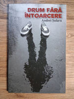 Andrei Sufaru - Drum fara intoarcere