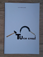 Ilie Mihalache - Tu ce crezi?