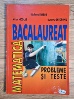 Ilie Petre Iambor - Matematica pentru bacalaureat. Probleme si teste