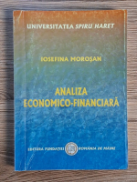 Iosefina Morosan - Analiza economico-financiara