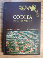 Mihail Plaiasu - Codlea. Trecut si prezent