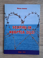 Mircea Ionescu - Sclipiri in noaptea zilei