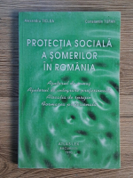 Alexandru Ticlea - Protectia sociala a somerilor in Romania