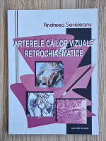 Andreea Seceleanu - Arterele cailor vizuale retrochiasmatice
