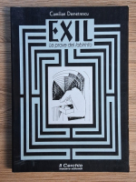 Camilian Demetrescu - Exil. Le prove del labirinto