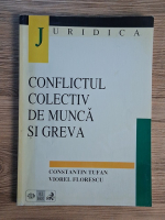 Constantin Tufan, Viorel Florescu - Conflictul colectiv de munca si greva