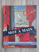 Denis Laoureux - Mot a main. Imagine si scriitura in arta din Belgia