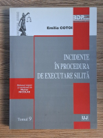 Emilia Cotoi - Incidente in procedura de executare silita