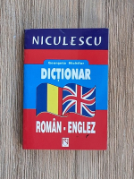 Georgeta Nichifor - Dictionar roman-englez