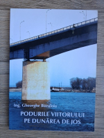 Gheorghe Buzuloiu - Podurile viitorului pe Dunarea de Jos