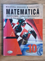 Ilie Petre Iambor - Matematica. Trunchi comun. Curriculum dferentiat