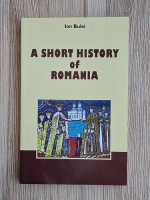 Ion Bulei - A short history of Romania