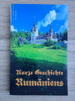 Ion Bulei - Kurze Geschichte Rumaniens. Vierte verbesserte Auflage