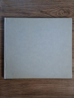 Jana Negoita - The village museum