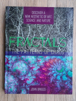 John Briggs - Fractals. The patterns of chaos