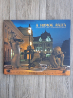 Laszlo Rita Emoke - A homok rajza. Drawing of the sand. Das zeichnen des sandes