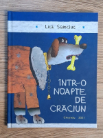 Lica Sainciuc - Intr-o noapte de Craciun