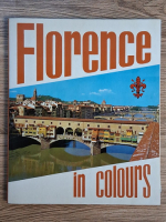 Loretta Santini - Florence in colours. Art and history
