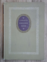 Mieczyslaw Wallis - Canaletto. Warschaus Maler