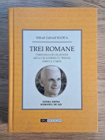 Mihail Gabriel Badea - Trei romane. Persoana de legatura, Arta calatoriei cu trenul, Parcul Carol