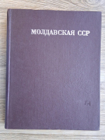 Republica Sovietica Socialista Moldoveneasca