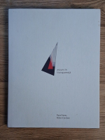 Robert Serban - Ascuns in transparenta