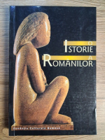 Stefan Andreescu - O istorie a romanilor. Studii critice