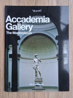 Academia Gallery. The masterpieces (album de arta)