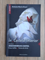 Antonio Maria Sicari - In castelul interior