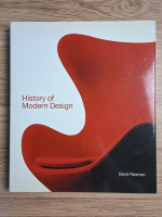 David Raizman - History of modern design
