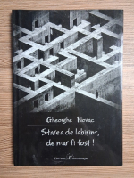 Gheorghe Novac - Starea de labirint, de n-ar fi fost!