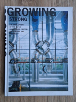 Growing strong. The development of the Dutch agricultural sector. Background and prospects