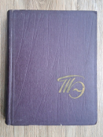 S. S. Mokulski - Enciclopedia teatrului (volumul 1)