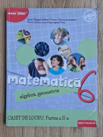 Sorin Peligrad - Matematica. Algebra si geometrie. Caiet de lucru. Clasa a VI-a, partea a II-a