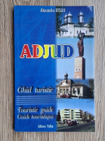 Alexandru Desliu - Adjud. Ghid turistic