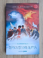 Amie Kaufman - Elementalii, volumul 3. Nascuti din lupta