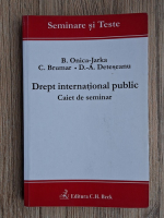 Beatrice Onica Jarka - Drept international public. Caiet de seminar